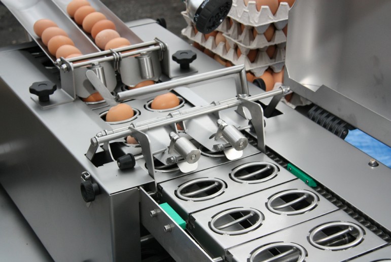 Прогноз развития рынка яиц и яичных продуктов – комментарии аналитиков Pro-Consulting. Деловая столица